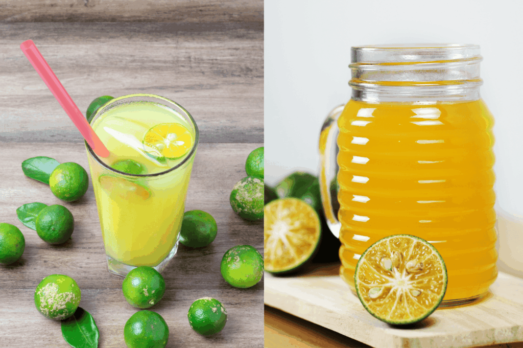 A refreshing glass and pitcher of calamansi juice, often served alongside Singapore laksa and katong laksa at laksa stalls and food centres across Singapore, including Asia Delight Laksa, Janggut Laksa, Yishun Laksa, Sungei Road Laksa, and Ng Chwee Seng. These coffee shop and stall locations near east coast road, jalan besar, and roxy square offer laksa recipes featuring rice noodles, thick bee hoon, and noodles soaked in creamy laksa gravy made from coconut milk, evaporated milk, fresh coconut, and milk, cooked with laksa paste, blue ginger, dried shrimp, dried oysters, sambal, spices, sugar, lard, and garnish, then simmered to perfection. Toppings include fish cake, fishcake, fried tofu puffs, tofu puffs, tau pok, bean sprouts, hard boiled egg, fresh prawns, prawns, cockles, blood cockles, chicken, and seafood, served in a regular bowl or small bowl with just a spoon or spoon. This tasty, savoury, spicy dish is a personal favourite for its flavourful gravy, rich broth, and unforgettable taste, often enjoyed with calamansi juice to balance the lemak richness. Whether exploring stall opens and opening hours or savoring every bite and sip, this food experience is a must-eat in Singapore.