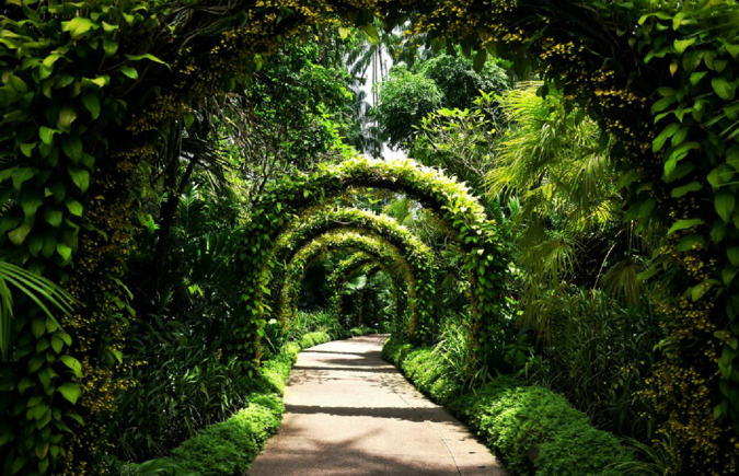 Featured Neighbourhood in SG : Discover hidden Southern Ridges trails away from the tourist crowds.