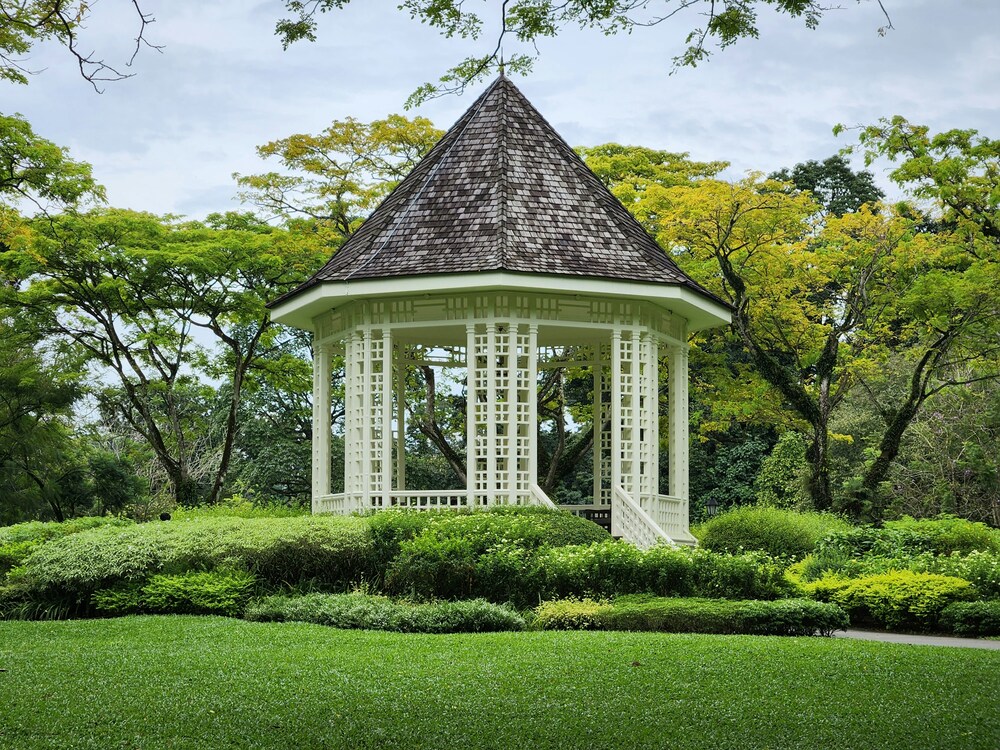 Featured Neighbourhood in SG : The lush orchid garden inside the Singapore Botanic Gardens, a UNESCO World Heritage Site.