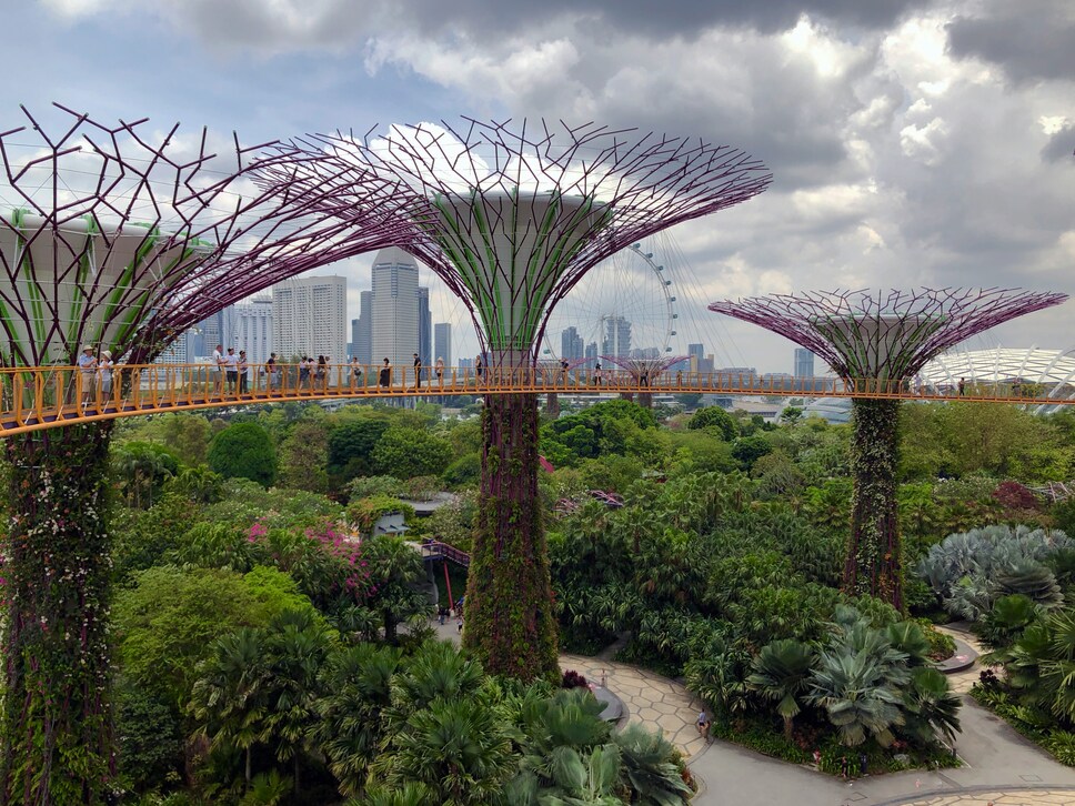 Green Space in SG : Aerial view of Singapore city integrated with parks and greenery