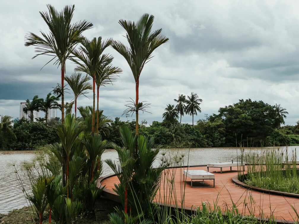 Green Space in SG : Elevated walkway offering panoramic views of Nature Reserve