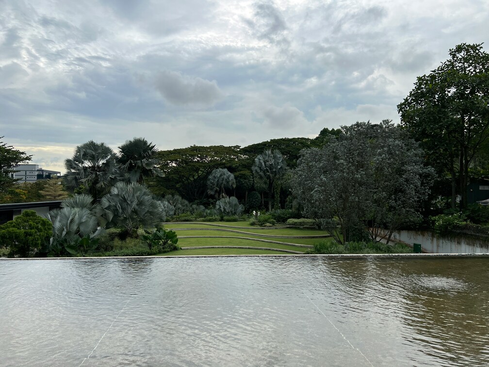 Best Park in SG: Family hiking together along the lush MacRitchie trails