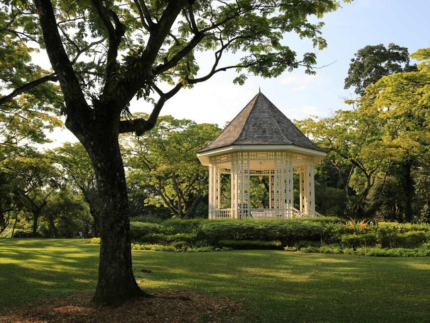 Best Park in SG: A tranquil pathway lined with tropical trees, perfect for family strolls.