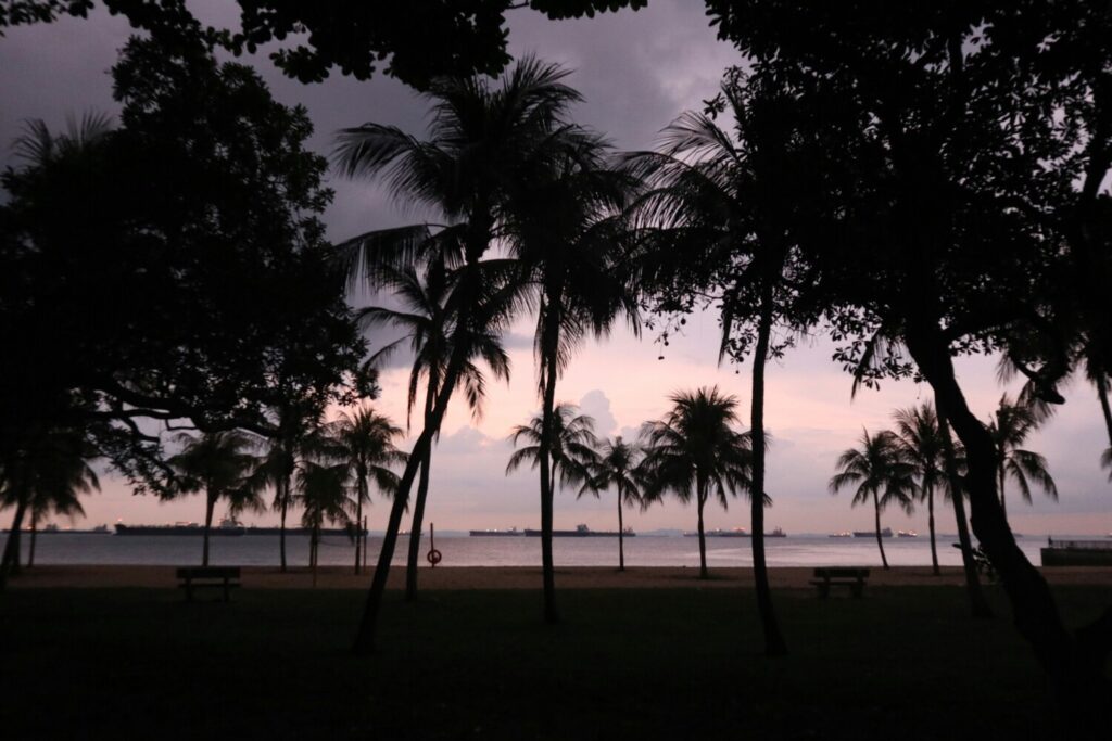 Best Park in SG : A scenic stretch of sandy coastline with waves gently rolling in.