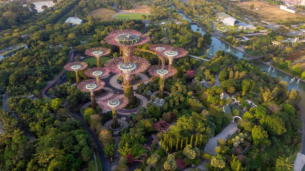 Best Park in SG: A blend of nature and modern design, where gardens meet urban life.