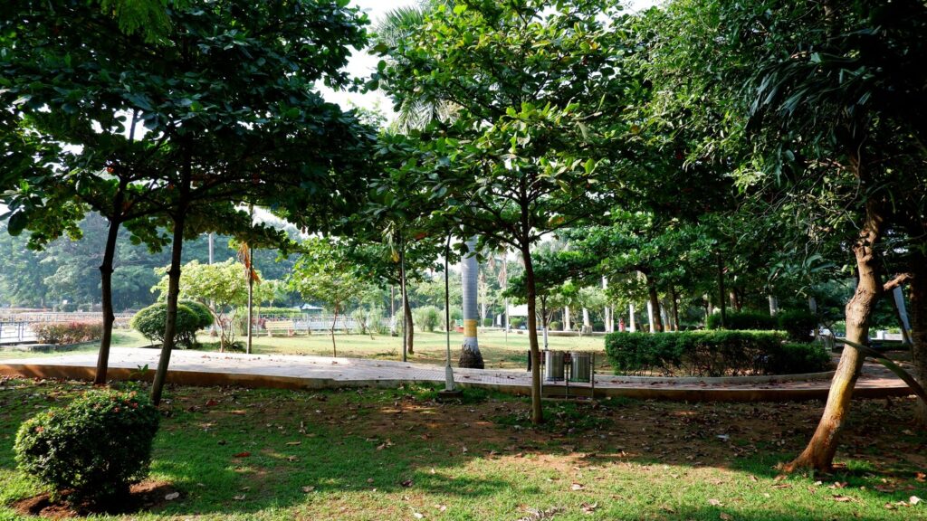 est Park in SG : A vibrant nature escape in the heart of the city at Bishan-Ang Mo Kio Park.