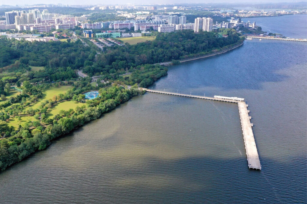 High-angle aerial view of a large coastal park with green lawns and trees, adjacent to the ocean, showing a long, white concrete pier extending far out into the water.