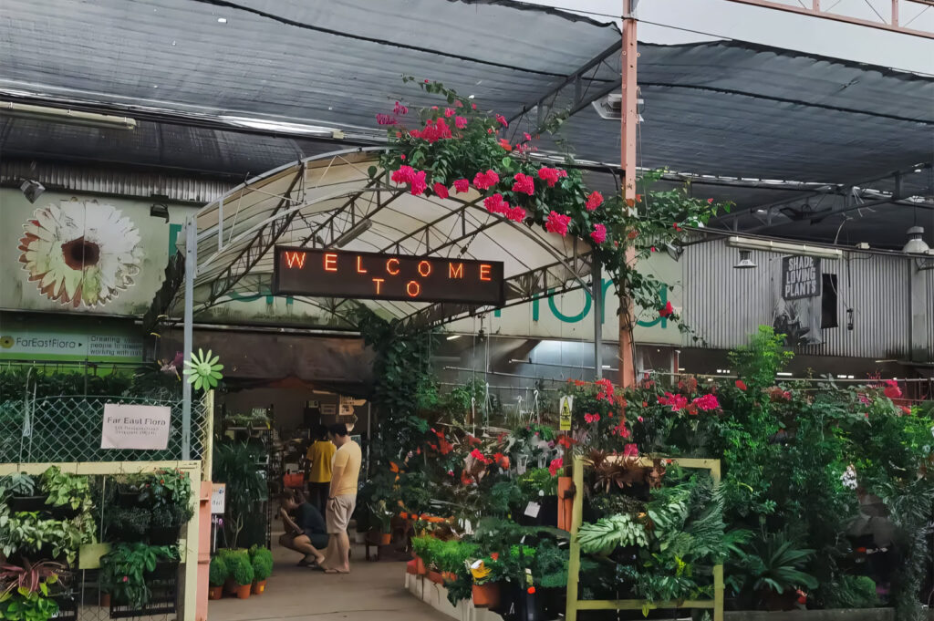The entrance to an outdoor garden center (Far East Flora) with a "WELCOME TO" sign, surrounded by lush potted plants, vertical gardens, and vibrant pink flowers.