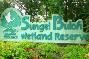Close-up of the green wooden park sign reading "Sungei Buloh Wetland Reserve" with a heron silhouette, surrounded by lush foliage.