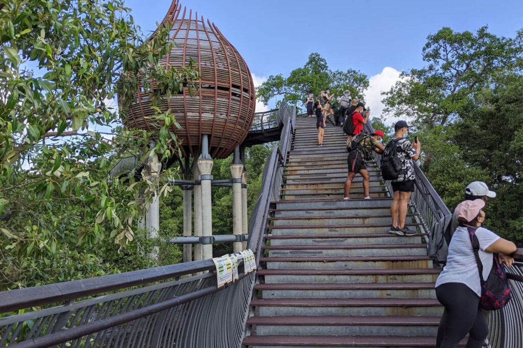 Visitors ascending a steep metal staircase leading up to a wooden, nest-like viewing platform at a wetland reserve.