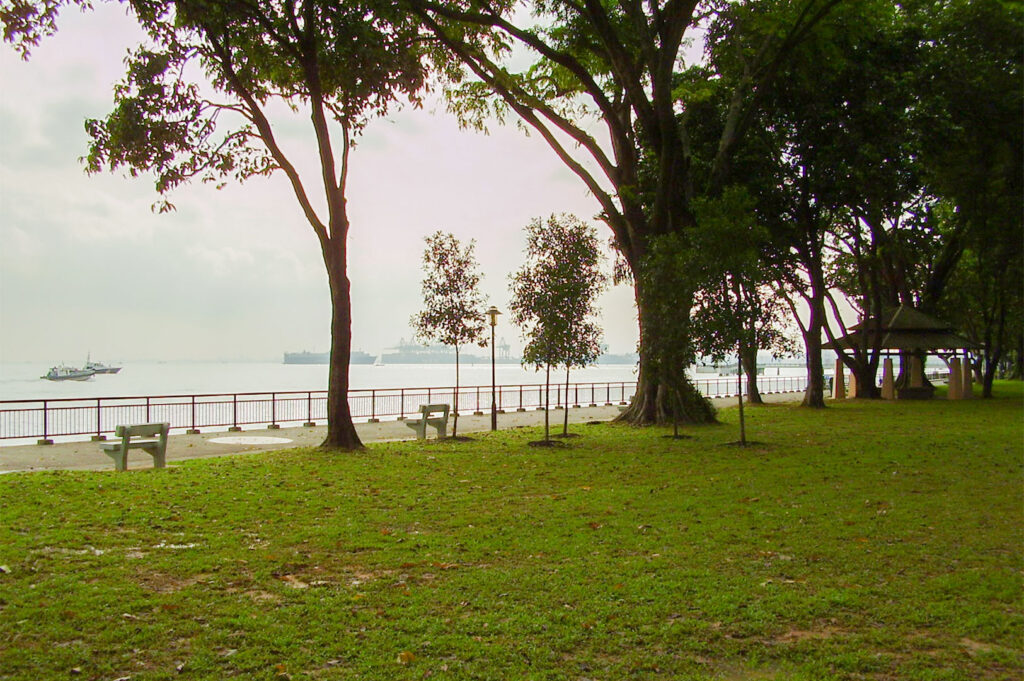 Tranquil park scene with large trees providing shade over a grassy area and benches, looking out past a railing to a hazy sea dotted with large cargo ships.