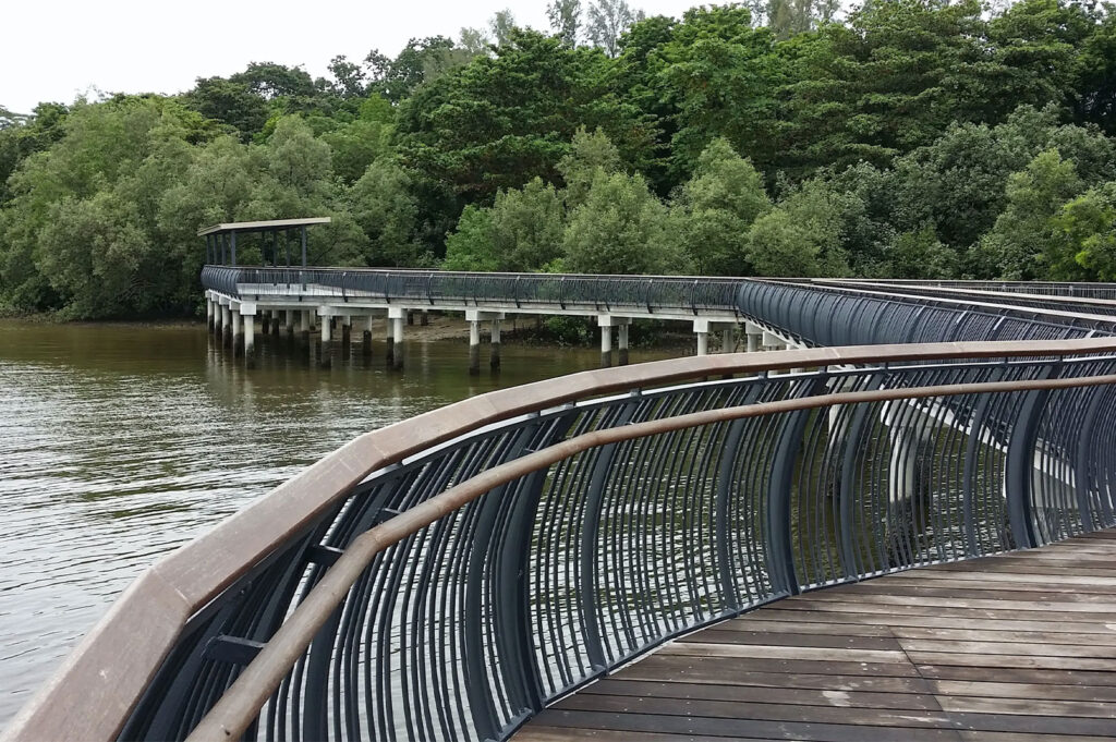 Wide, curving wooden boardwalk with a black metal railing extending over the water in a forested coastal area.