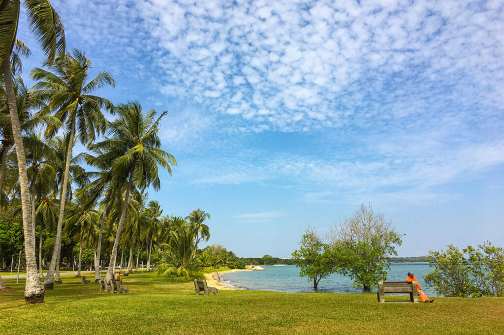 Bright, sunny scene on a coastal park lawn lined with tall palm trees, overlooking a small beach and blue water under a wide, cloudy sky.