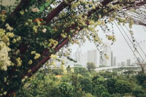 A red metal structure draped in cascading vines and yellow flowers frames a scenic view of a lush, tropical park. In the distance, a hazy skyline of modern white skyscrapers rises above the greenery, creating a striking contrast between nature and urban architecture.