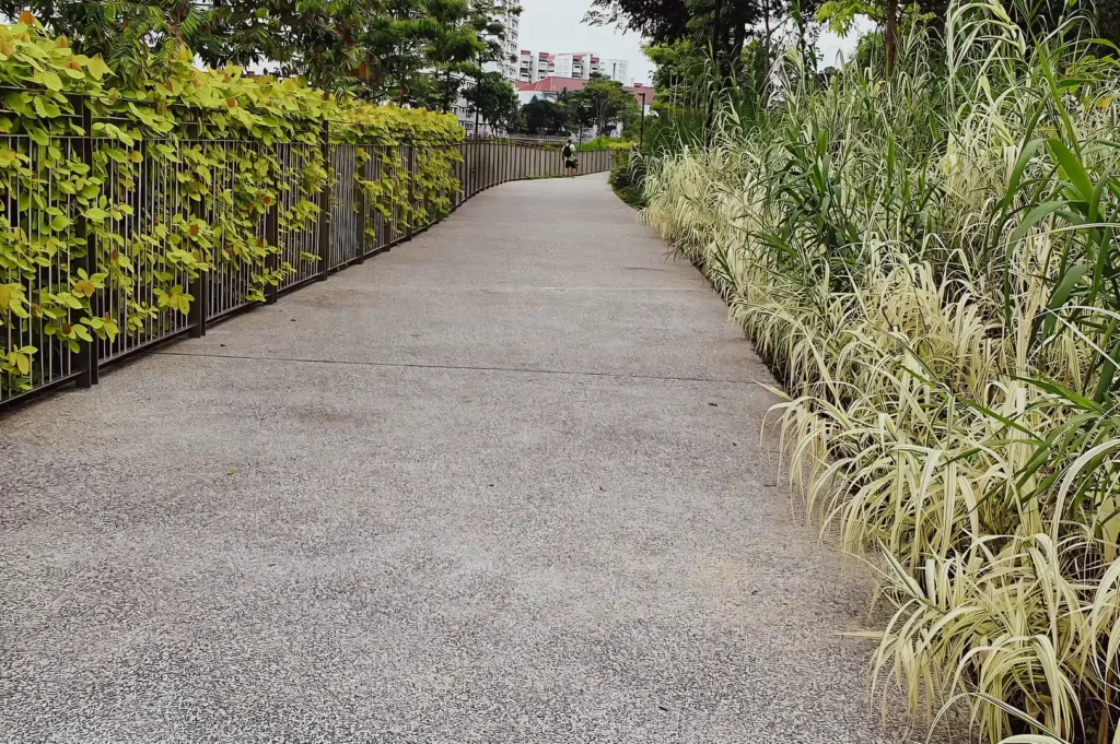 Eye-level wide-angle shot of a paved pedestrian pathway bordered by vertical greenery and ornamental grasses, highlighting an urban green corridor with eco-friendly landscaping and natural plant textures.