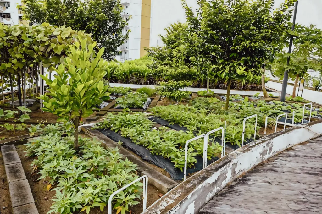 High-angle wide shot of a landscaped urban garden with raised planting beds, young trees, and dense green ground cover along a curved walkway, showcasing sustainable rooftop greenery and modern landscape design.
