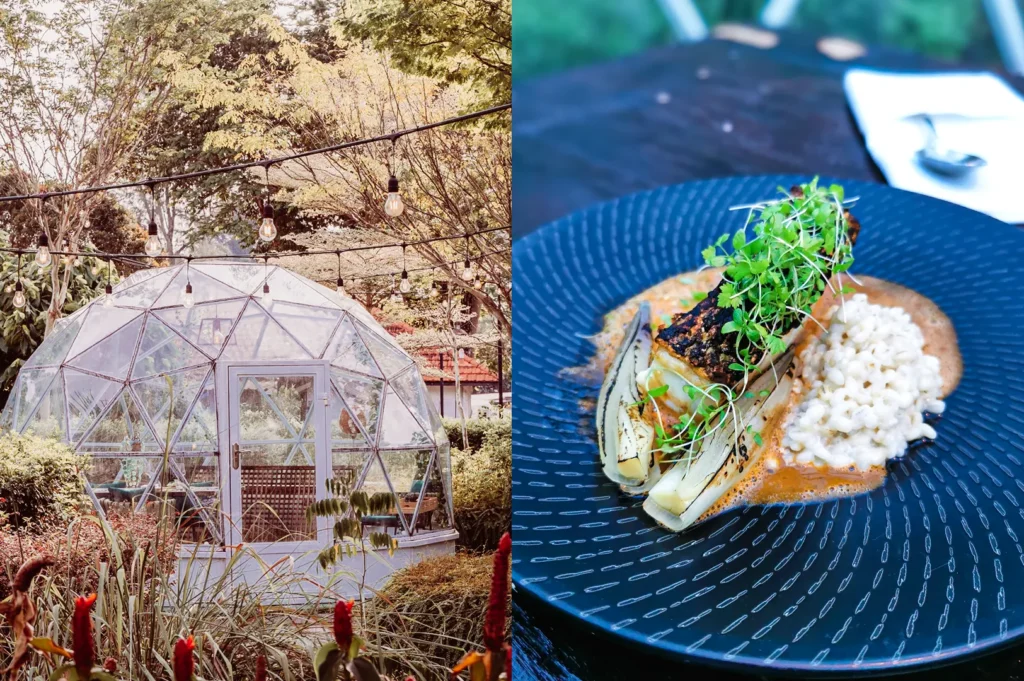 Left: wide‑angle eye‑level shot of a unique glass‑dome private dining space set in a lush garden environment. Right: angled close‑up shot of a fine‑dining plated dish with fish, grains, sauce, and microgreens.