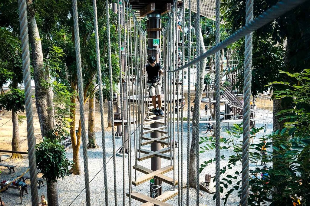 Outdoor rope obstacle course set among tall trees.