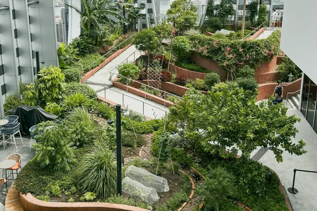 High-angle wide shot of a modern urban rooftop garden with layered greenery, walking paths, trees, and surrounding contemporary buildings.
