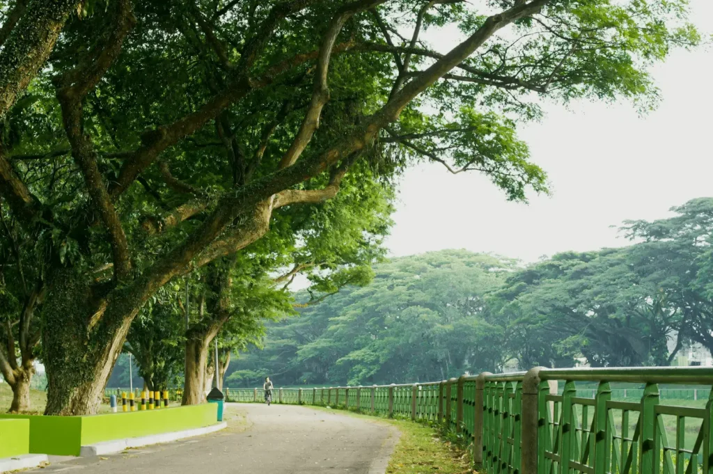 Eye-level wide-angle shot of a tree-lined park pathway with a green metal fence, large canopy trees arching overhead, and a paved walking trail in a quiet urban green space.