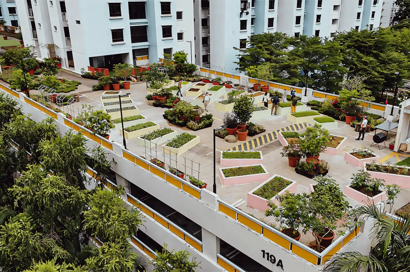 Community rooftop garden in Singapore featuring raised planting beds, potted greenery, and landscaped walkways within a residential housing complex.