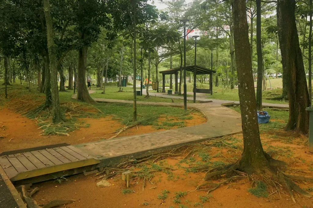 Wide-angle ground-level shot of a shaded forest park walkway with winding concrete paths, tall trees, exposed roots, and a small pavilion in a lush green public park.