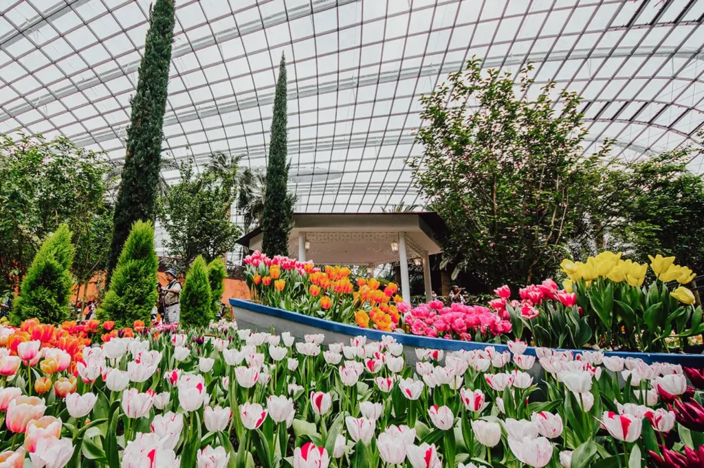 Wide‑angle shot of an indoor flower garden filled with colorful tulips and lush greenery beneath a glass conservatory roof, highlighting nature attractions, floral displays, and indoor gardens.