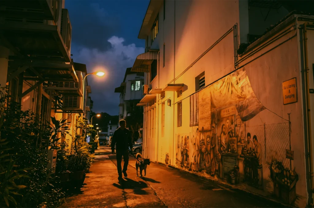 Eye-level wide-angle night shot of a quiet residential alley in Tiong Bahru, showing a person walking a dog past illuminated street murals and low-rise buildings under warm street lighting.