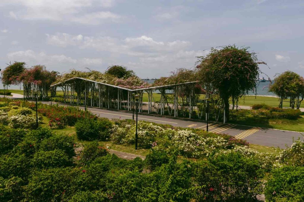 Elevated wide shot of a covered walking trail surrounded by greenery at East Coast Park, highlighting nature-based cultural activities in Singapore for families.