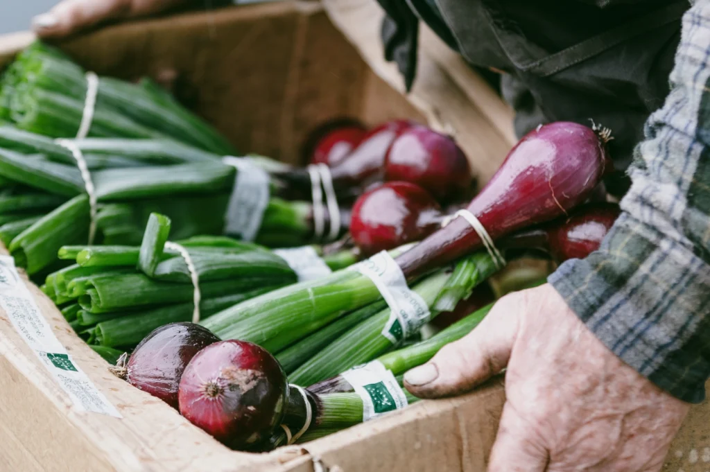 Close-up shot of fresh red onions and green onions in a wooden crate at a local farmers market, highlighting seasonal produce, farm-to-table ingredients, and organic vegetable shopping