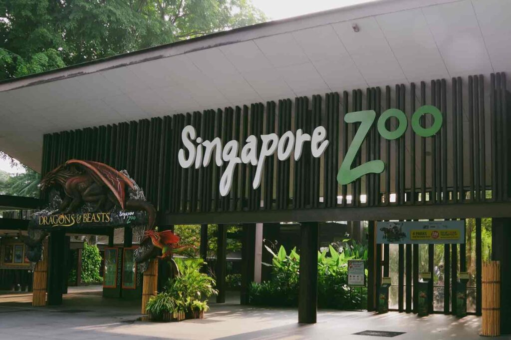 Straight-on wide shot of the Singapore Zoo entrance signage surrounded by tropical greenery, introducing a popular family-friendly wildlife and cultural attraction.