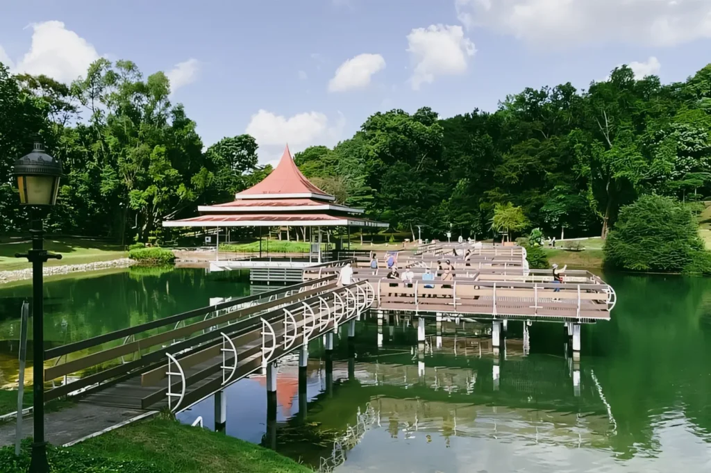 Eye-level wide shot of MacRitchie Reservoir Park Singapore with boardwalk, pavilion structure over water, and lush surrounding forest, showcasing nature reserve trails and wellness-focused green spaces.