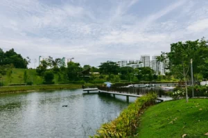Eye-level landscape shot of Punggol Waterway Park with scenic lake, curved pedestrian bridge, and lush green parkland, highlighting eco-friendly waterfront living and sustainable urban planning in Singapore