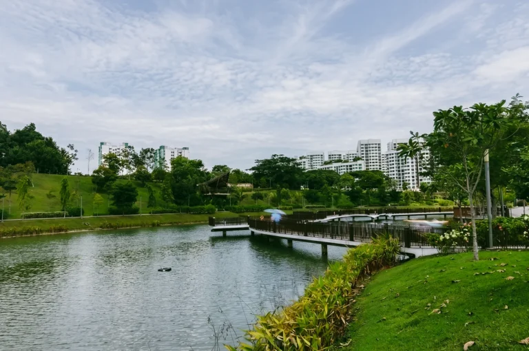 Eye-level landscape shot of Punggol Waterway Park with scenic lake, curved pedestrian bridge, and lush green parkland, highlighting eco-friendly waterfront living and sustainable urban planning in Singapore
